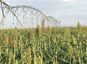 CTASI vai levantar situação da disponibilidade hídrica nas regiões irrigantes do País